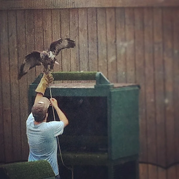 Get up close with local wildlife at the centre